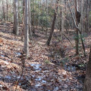 Photo of UNDER CONTRACT!  9.4 Acres of Residential and Hunting Land For Sale in King William County VA!
