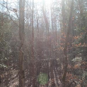 Photo of UNDER CONTRACT!  9.4 Acres of Residential and Hunting Land For Sale in King William County VA!