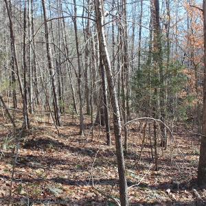Photo of UNDER CONTRACT!  9.4 Acres of Residential and Hunting Land For Sale in King William County VA!