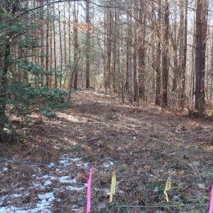 Photo of UNDER CONTRACT!  9.4 Acres of Residential and Hunting Land For Sale in King William County VA!