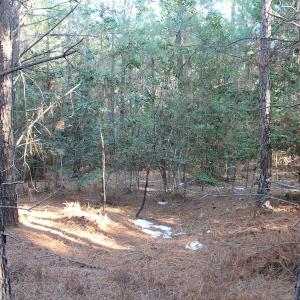 Photo of UNDER CONTRACT!  55 Acres of Hunting and Recreational Land For Sale in Caroline County VA!