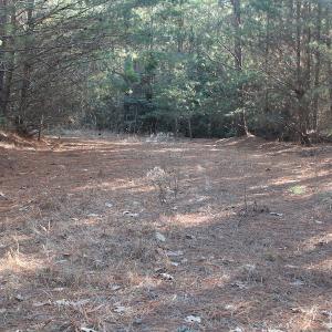 Photo of UNDER CONTRACT!  55 Acres of Hunting and Recreational Land For Sale in Caroline County VA!
