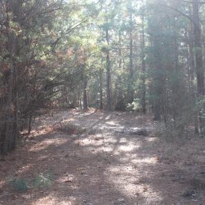 Photo of UNDER CONTRACT!  55 Acres of Hunting and Recreational Land For Sale in Caroline County VA!