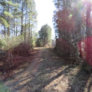 Photo of UNDER CONTRACT!  49.82 Acres of Hunting Land with Duck Impoundments For Sale in Columbus County NC!