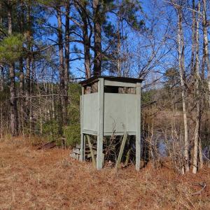 Photo of UNDER CONTRACT!  49.82 Acres of Hunting Land with Duck Impoundments For Sale in Columbus County NC!