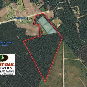 Photo of UNDER CONTRACT!  49.82 Acres of Hunting Land with Duck Impoundments For Sale in Columbus County NC!
