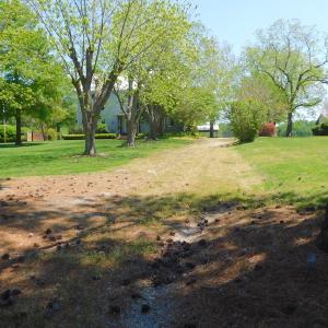 Photo of UNDER CONTRACT!  84.45 Acres of Residential and Pasture Land For Sale in Edgecombe County NC!