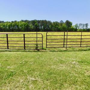 Photo of UNDER CONTRACT!  84.45 Acres of Residential and Pasture Land For Sale in Edgecombe County NC!