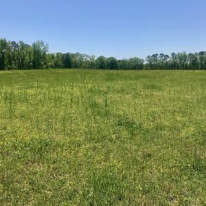 Photo of UNDER CONTRACT!  84.45 Acres of Residential and Pasture Land For Sale in Edgecombe County NC!