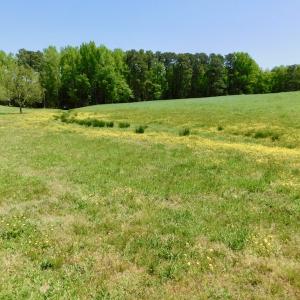 Photo of UNDER CONTRACT!  84.45 Acres of Residential and Pasture Land For Sale in Edgecombe County NC!