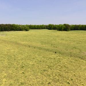 Photo of UNDER CONTRACT!  84.45 Acres of Residential and Pasture Land For Sale in Edgecombe County NC!