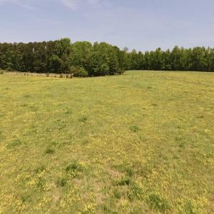 Photo of UNDER CONTRACT!  84.45 Acres of Residential and Pasture Land For Sale in Edgecombe County NC!