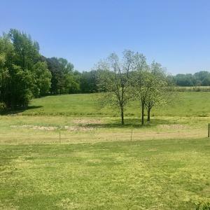 Photo of UNDER CONTRACT!  84.45 Acres of Residential and Pasture Land For Sale in Edgecombe County NC!