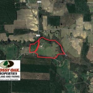 Photo of UNDER CONTRACT!  84.45 Acres of Residential and Pasture Land For Sale in Edgecombe County NC!