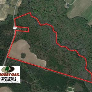 Photo of UNDER CONTRACT!  67 Acres of Recreational and Farm Land For Sale in Sussex County VA!
