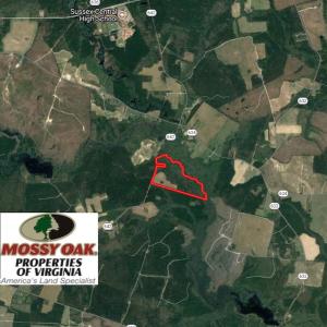Photo of UNDER CONTRACT!  67 Acres of Recreational and Farm Land For Sale in Sussex County VA!
