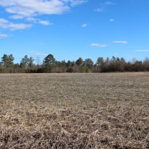Photo of UNDER CONTRACT!  67 Acres of Recreational and Farm Land For Sale in Sussex County VA!