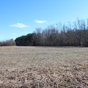 Photo of UNDER CONTRACT!  67 Acres of Recreational and Farm Land For Sale in Sussex County VA!