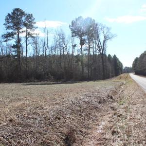Photo of UNDER CONTRACT!  67 Acres of Recreational and Farm Land For Sale in Sussex County VA!