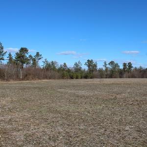 Photo of UNDER CONTRACT!  67 Acres of Recreational and Farm Land For Sale in Sussex County VA!