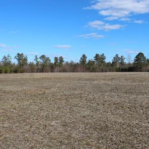 Photo of UNDER CONTRACT!  67 Acres of Recreational and Farm Land For Sale in Sussex County VA!