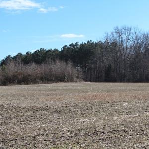 Photo of UNDER CONTRACT!  67 Acres of Recreational and Farm Land For Sale in Sussex County VA!