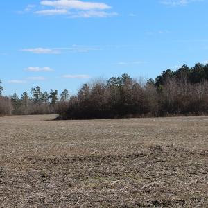 Photo of UNDER CONTRACT!  67 Acres of Recreational and Farm Land For Sale in Sussex County VA!