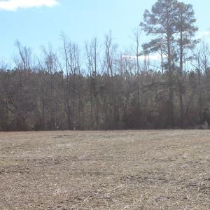 Photo of UNDER CONTRACT!  67 Acres of Recreational and Farm Land For Sale in Sussex County VA!