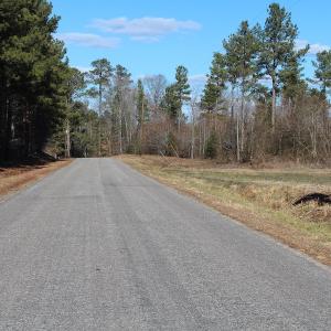 Photo of UNDER CONTRACT!  67 Acres of Recreational and Farm Land For Sale in Sussex County VA!