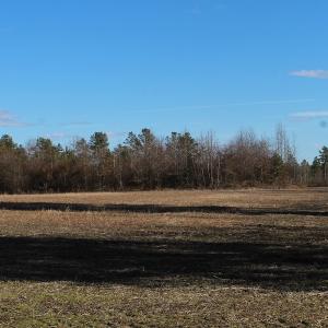 Photo of UNDER CONTRACT!  67 Acres of Recreational and Farm Land For Sale in Sussex County VA!