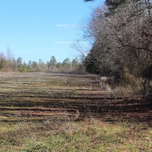 Photo of UNDER CONTRACT!  67 Acres of Recreational and Farm Land For Sale in Sussex County VA!