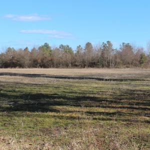 Photo of UNDER CONTRACT!  67 Acres of Recreational and Farm Land For Sale in Sussex County VA!