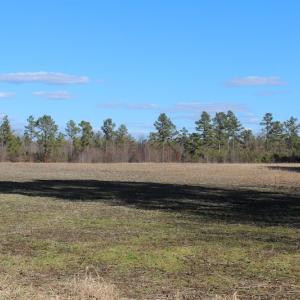 Photo of UNDER CONTRACT!  67 Acres of Recreational and Farm Land For Sale in Sussex County VA!