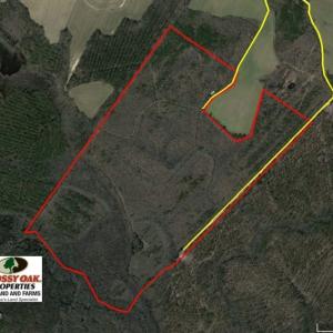 Photo of UNDER CONTRACT!  167 Acres of Hunting Land For Sale in Halifax County NC!
