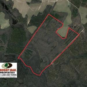Photo of UNDER CONTRACT!  167 Acres of Hunting Land For Sale in Halifax County NC!