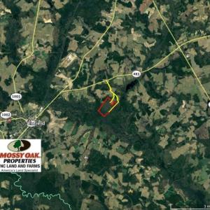 Photo of UNDER CONTRACT!  167 Acres of Hunting Land For Sale in Halifax County NC!