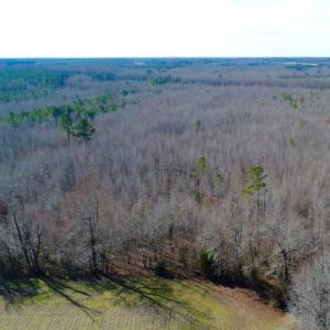 Photo of UNDER CONTRACT!  167 Acres of Hunting Land For Sale in Halifax County NC!