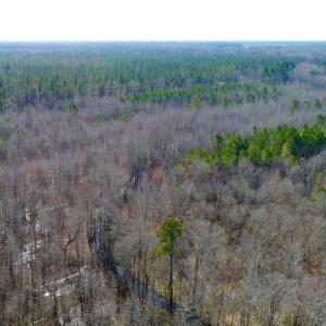 Photo of UNDER CONTRACT!  167 Acres of Hunting Land For Sale in Halifax County NC!