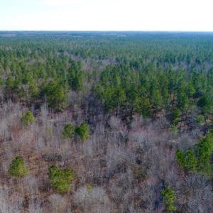Photo of UNDER CONTRACT!  167 Acres of Hunting Land For Sale in Halifax County NC!