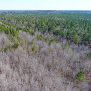 Photo of UNDER CONTRACT!  167 Acres of Hunting Land For Sale in Halifax County NC!