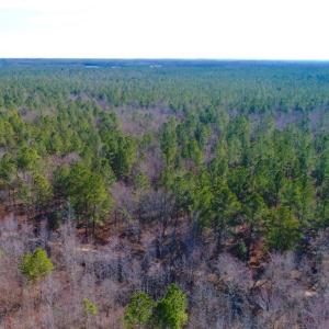 Photo of UNDER CONTRACT!  167 Acres of Hunting Land For Sale in Halifax County NC!