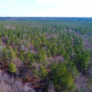 Photo of UNDER CONTRACT!  167 Acres of Hunting Land For Sale in Halifax County NC!