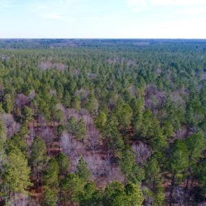 Photo of UNDER CONTRACT!  167 Acres of Hunting Land For Sale in Halifax County NC!