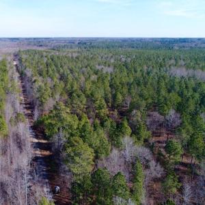 Photo of UNDER CONTRACT!  167 Acres of Hunting Land For Sale in Halifax County NC!