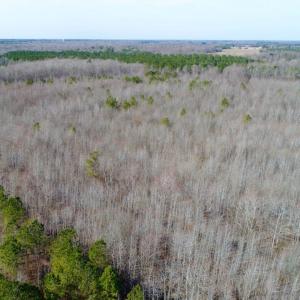 Photo of UNDER CONTRACT!  167 Acres of Hunting Land For Sale in Halifax County NC!