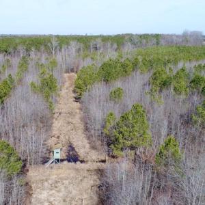 Photo of UNDER CONTRACT!  167 Acres of Hunting Land For Sale in Halifax County NC!