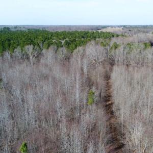 Photo of UNDER CONTRACT!  167 Acres of Hunting Land For Sale in Halifax County NC!