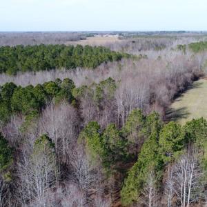 Photo of UNDER CONTRACT!  167 Acres of Hunting Land For Sale in Halifax County NC!