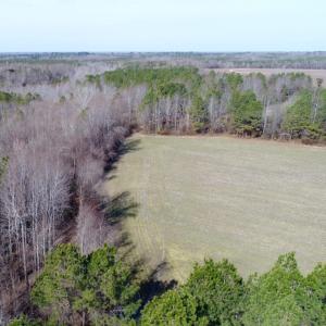 Photo of UNDER CONTRACT!  167 Acres of Hunting Land For Sale in Halifax County NC!