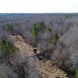 Photo of UNDER CONTRACT!  167 Acres of Hunting Land For Sale in Halifax County NC!
